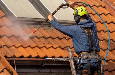 Démoussage et hydrofuge de toiture à Pigna